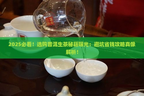 怎么选购普洱茶生茶