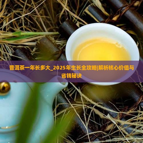普洱茶一年长多大