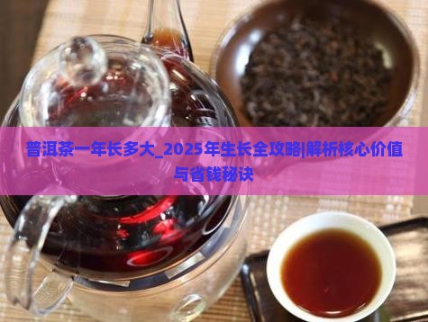 普洱茶一年长多大