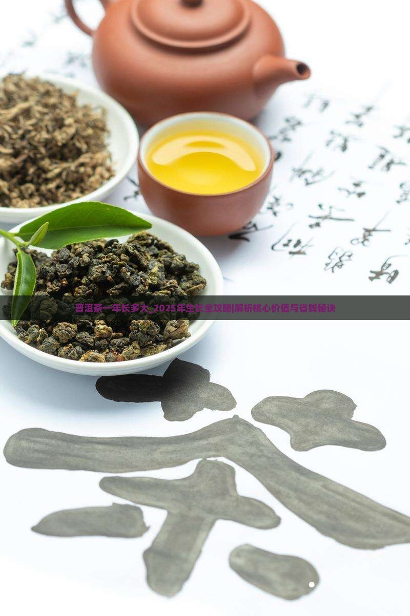普洱茶一年长多大