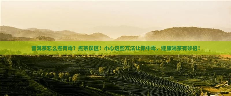 普洱茶怎么煮有毒