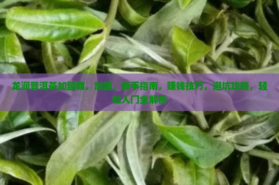 龙润普洱茶加盟商