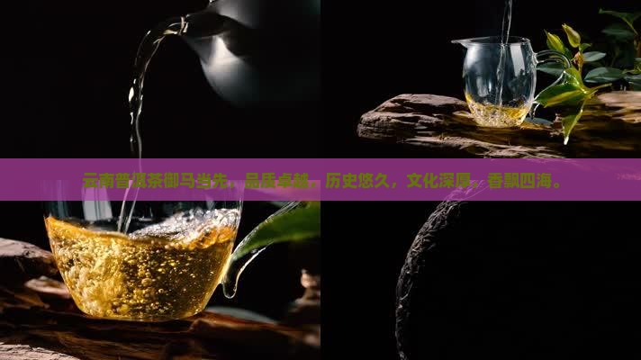 云南普洱茶御马当先