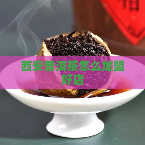 西安普洱茶怎么加盟好店