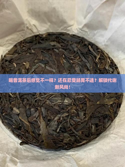 喝普洱茶后感觉不一样