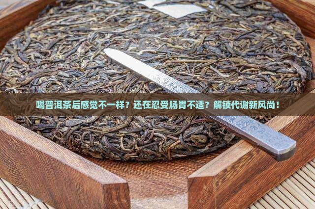 喝普洱茶后感觉不一样