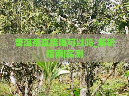 普洱茶直接喝可以吗
