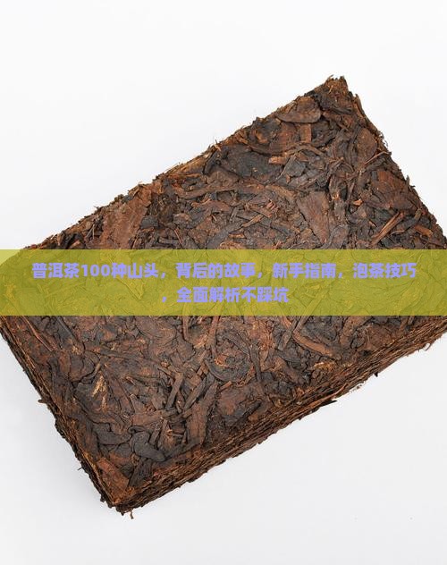 普洱茶100种山头