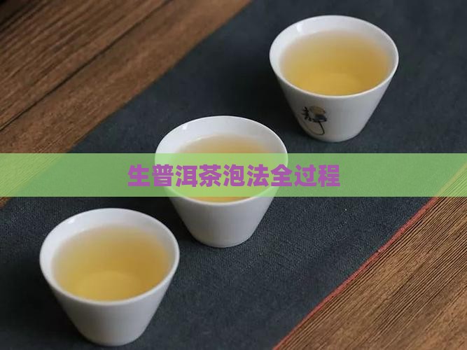 生普洱茶泡法全过程