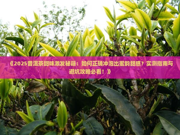 普洱茶的甜味怎么激发