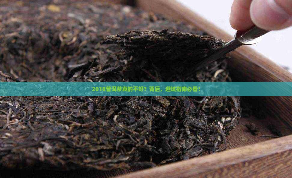 2018普洱茶不好