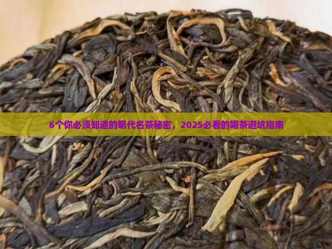 中国六大茶系列明代的六大名茶