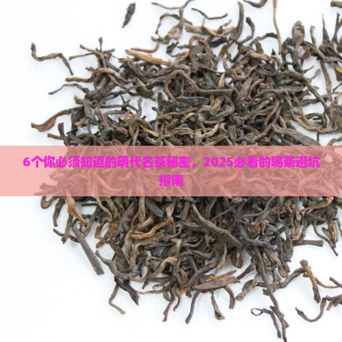 中国六大茶系列明代的六大名茶