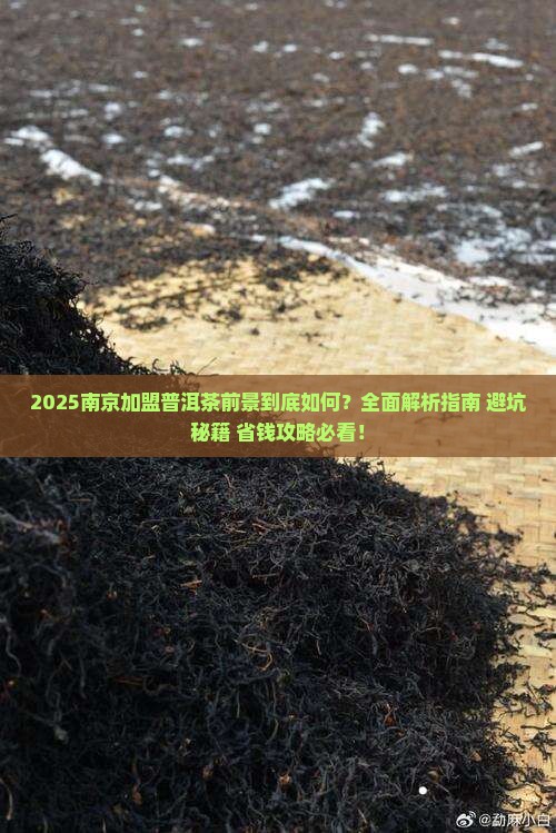 南京加盟普洱茶前景