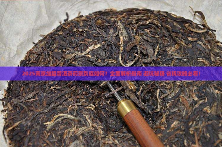 南京加盟普洱茶前景