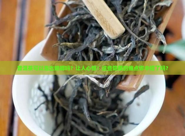 普洱茶可以泡出蟑螂吗