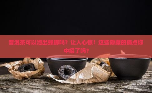 普洱茶可以泡出蟑螂吗