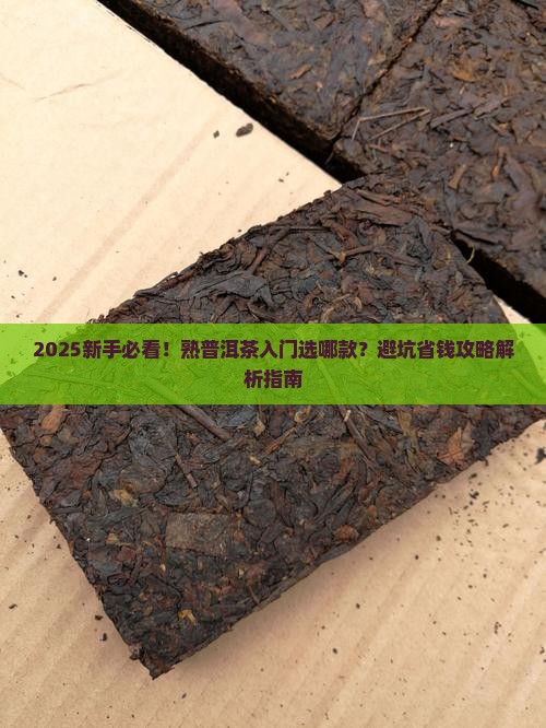 熟普洱茶入门茶推荐