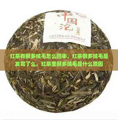 红茶有很多绒毛怎么回事