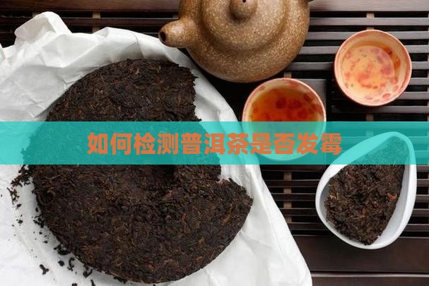 发霉的普洱茶能检测出来吗