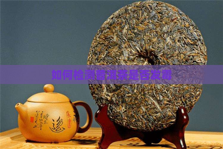 发霉的普洱茶能检测出来吗
