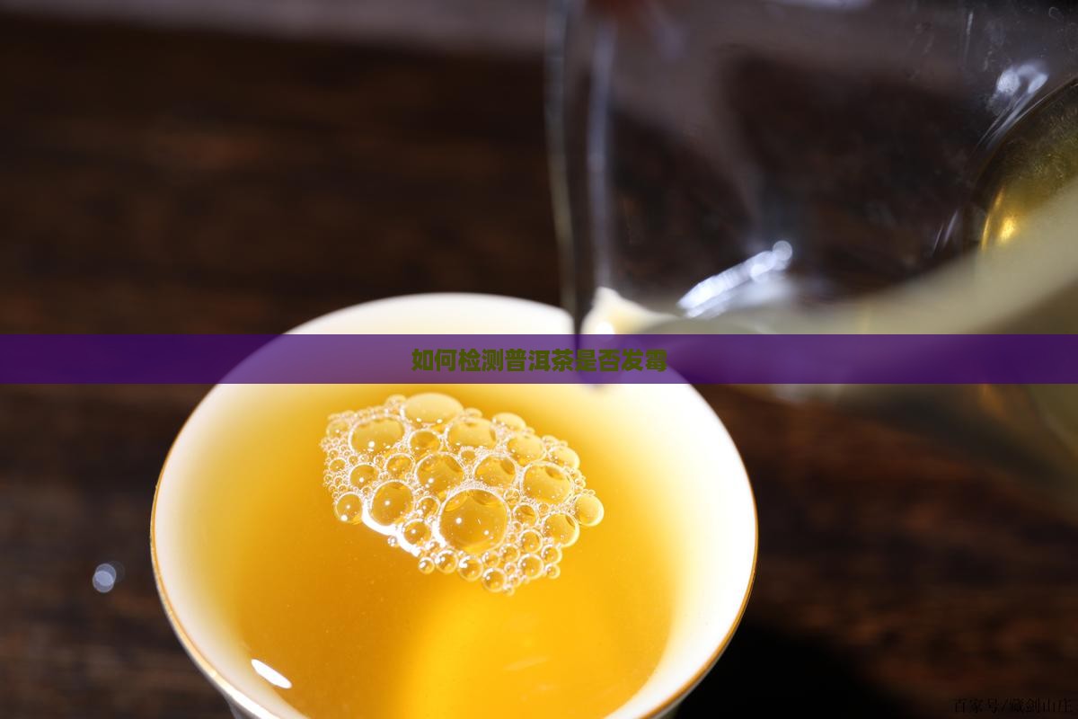 发霉的普洱茶能检测出来吗