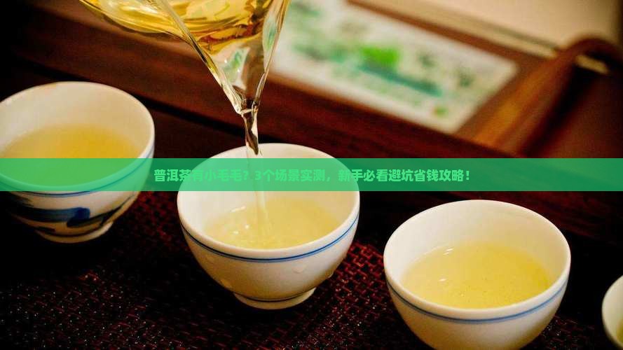 普洱茶有小毛毛