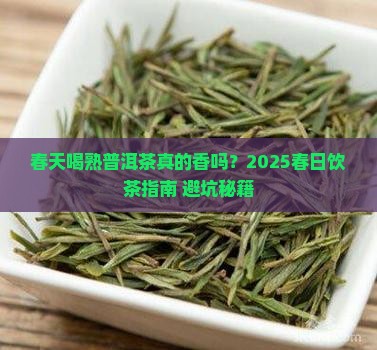 春天适合喝熟普洱茶吗