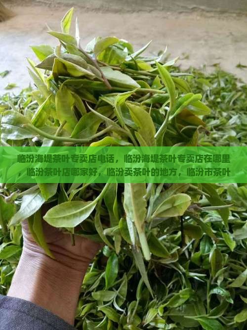 临汾海堤茶叶专卖店