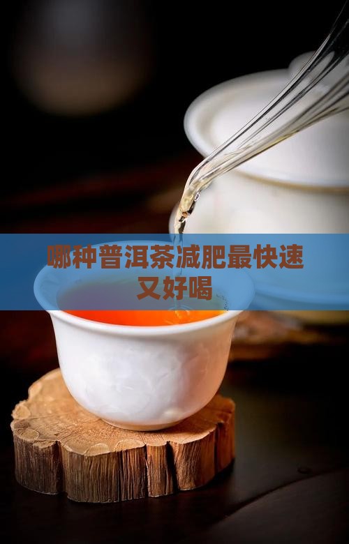 哪种普洱茶减肥最快速又好喝
