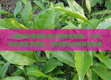兰馨茶价格兰馨红茶特点