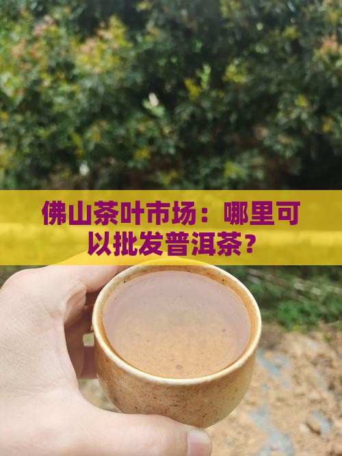 佛山批发普洱茶在哪里进货