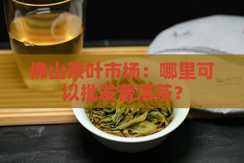佛山批发普洱茶在哪里进货