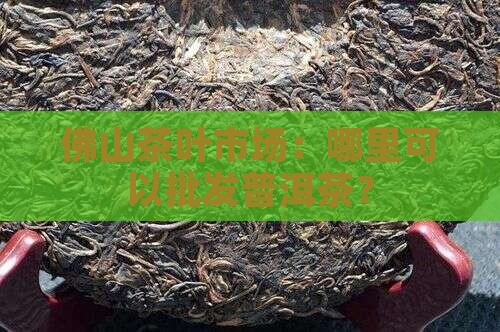 佛山批发普洱茶在哪里进货