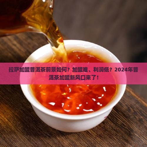 拉萨加盟普洱茶前景如何