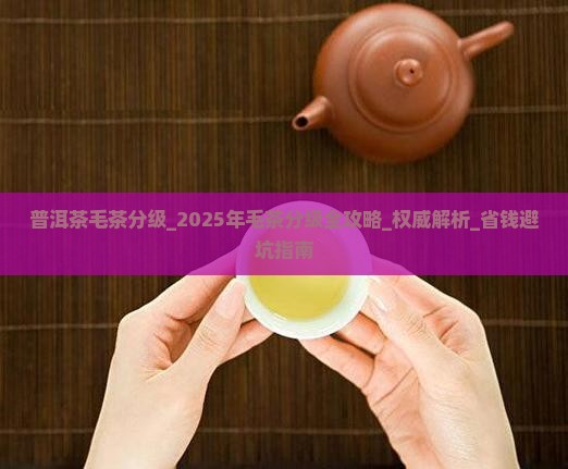 普洱茶毛茶分级