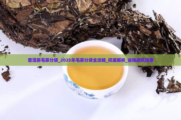 普洱茶毛茶分级