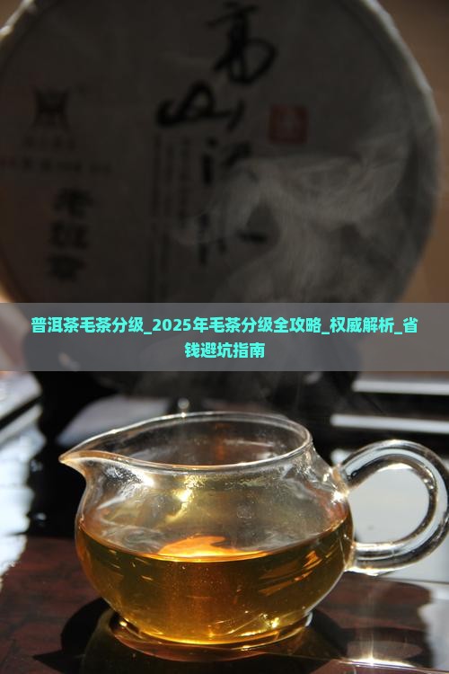 普洱茶毛茶分级