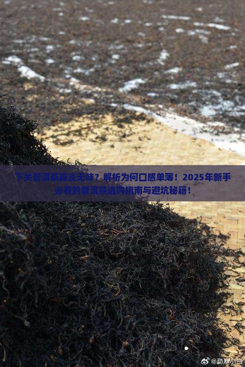 下关普洱茶寡淡无味