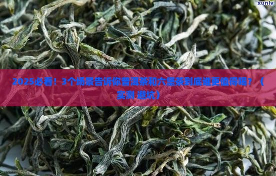 普洱茶与六堡茶功效的区别