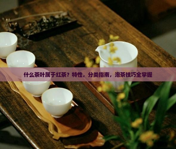 什么茶叶属于红茶茶的特性