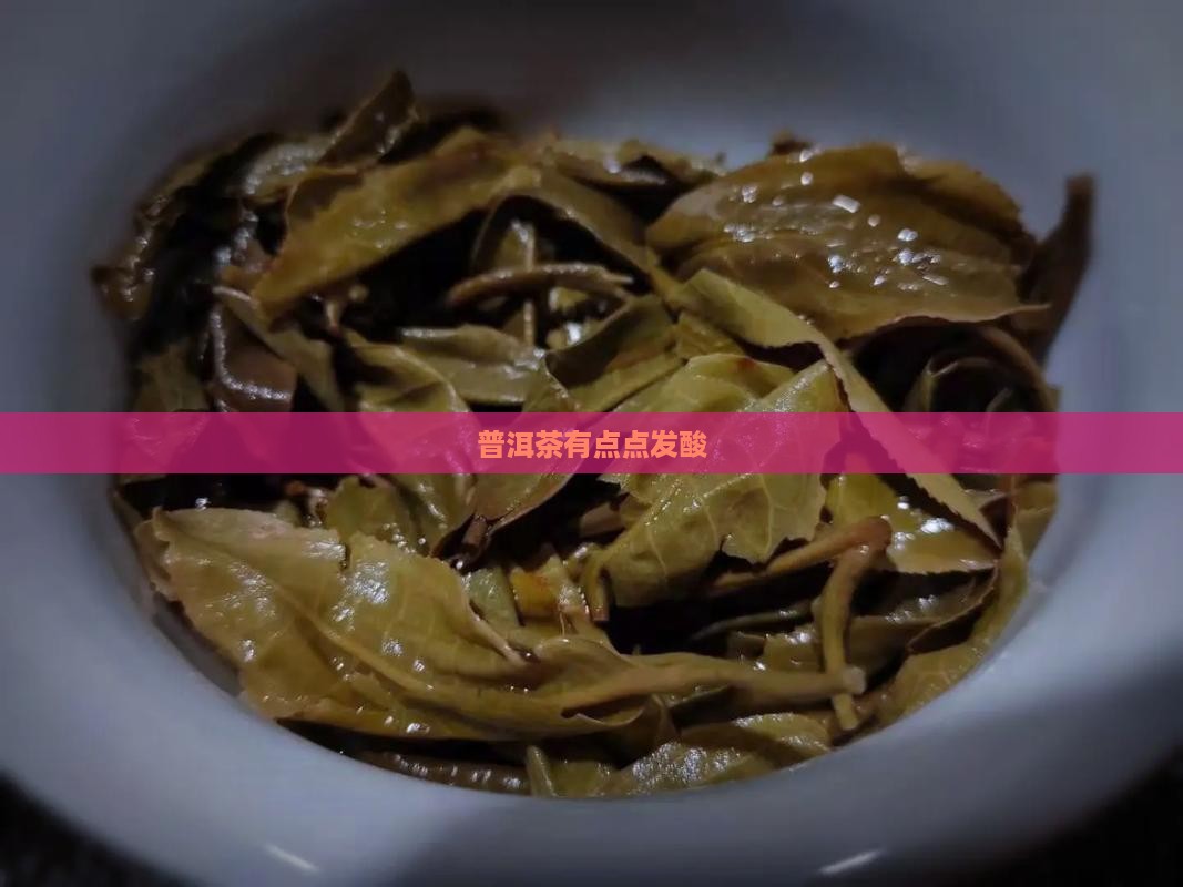 普洱茶有点点发酸