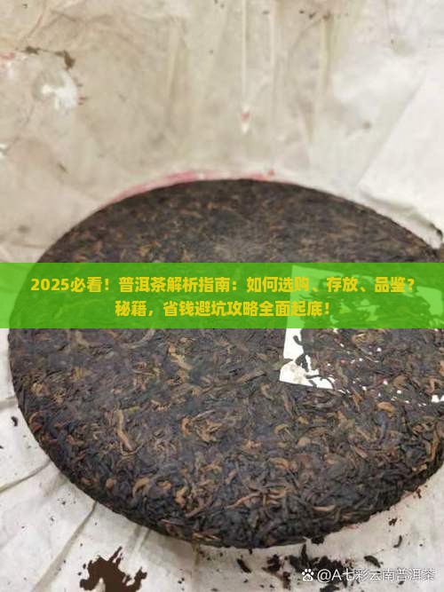 有关普洱茶的知识