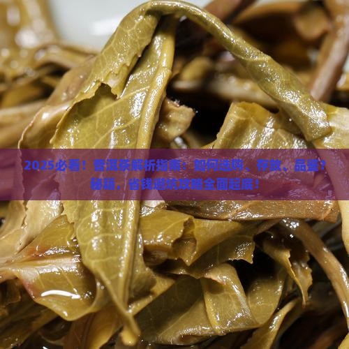 有关普洱茶的知识