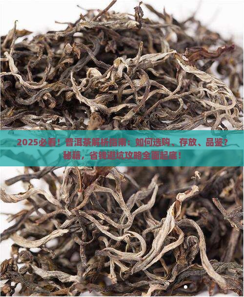 有关普洱茶的知识