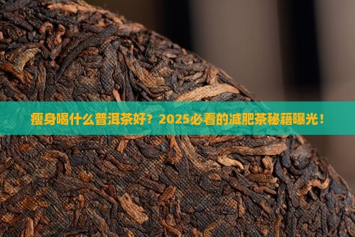 瘦身喝什么普洱茶好