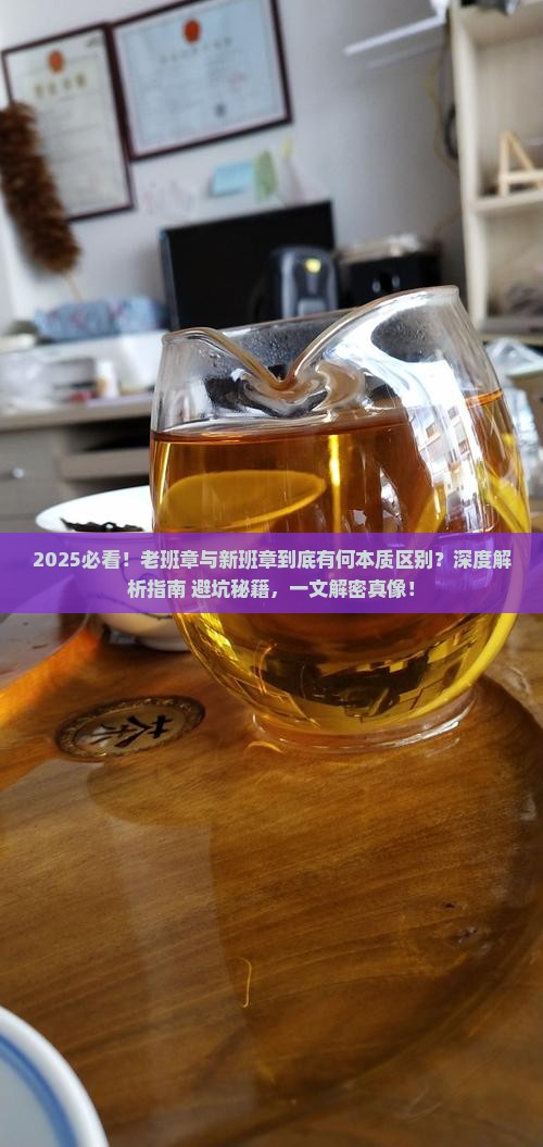 老班章和新班章的区别在哪