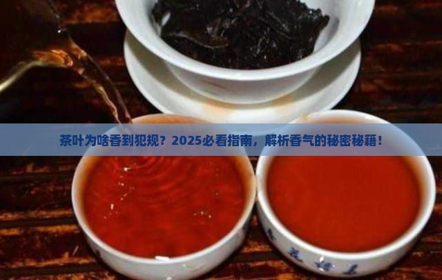 为什么有的茶叶闻起来很香