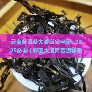 云南普洱茶大渡岗宋宇豪