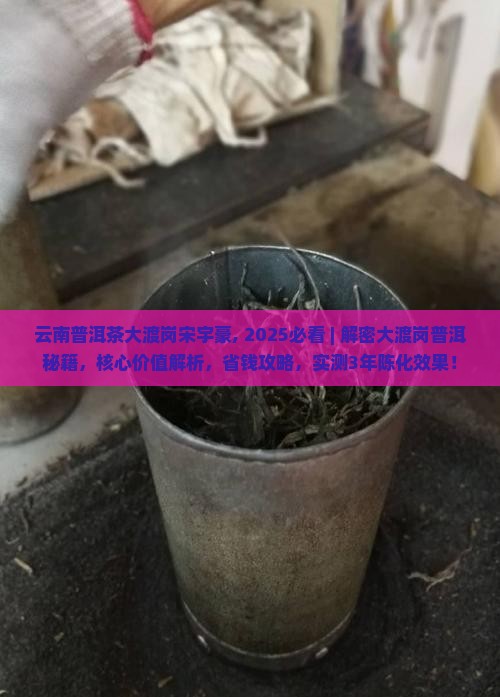 云南普洱茶大渡岗宋宇豪